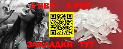 стаф Заводоуковск