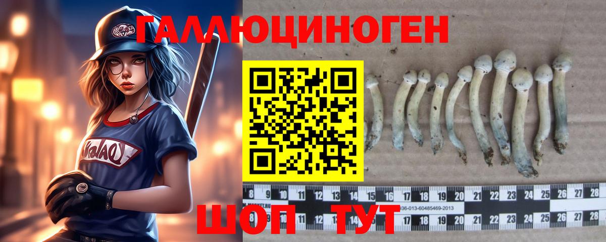 Галлюциногенные грибы GOLDEN TEACHER  Вход с VPN  Мценск  Псилоцибиновые грибы прущие грибы 