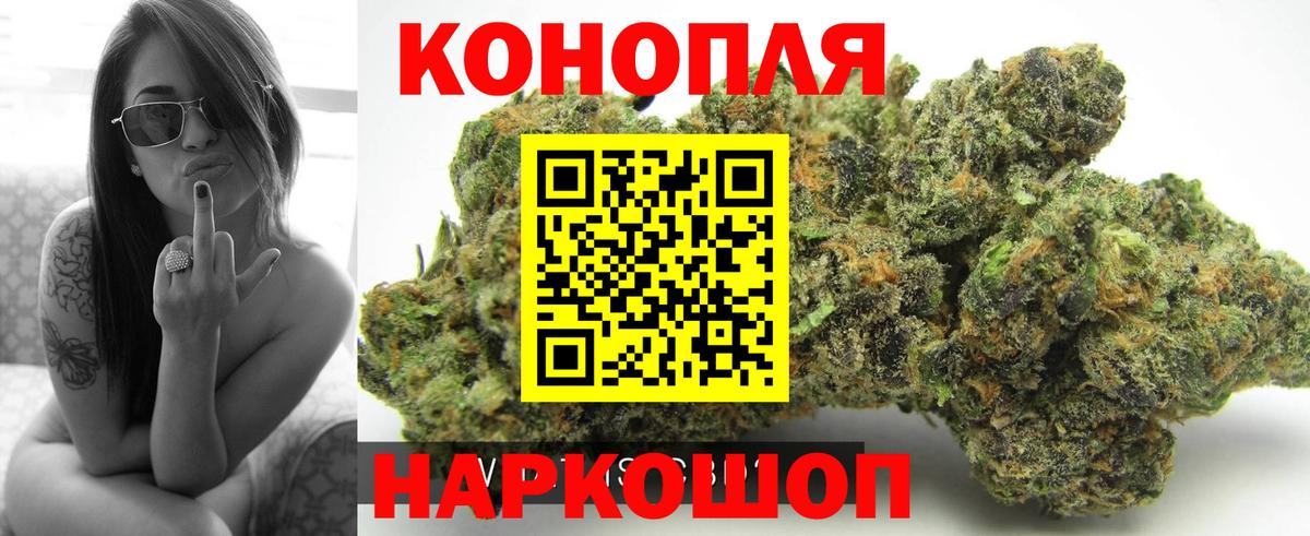 Бошки марихуана семена Мценск